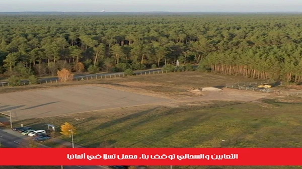 الثعابين والسحالي توقف بناء معمل تسلا في ألمانيا