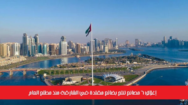 إغلاق 6 مصانع تنتج بضائع مقلدة في الشارقة منذ مطلع العام