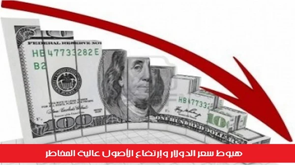 هبوط سعر الدولار وإرتفاع الأصول عالية المخاطر