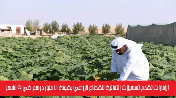 الإمارات تقدم تسهيلات إئتمانية للقطاع الزراعي بقيمة 1.1 مليار درهم في 9 أشهر